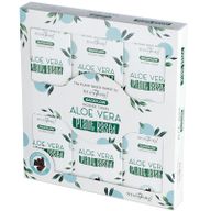 Cônes d'encens à base de plantes - Aloe Vera