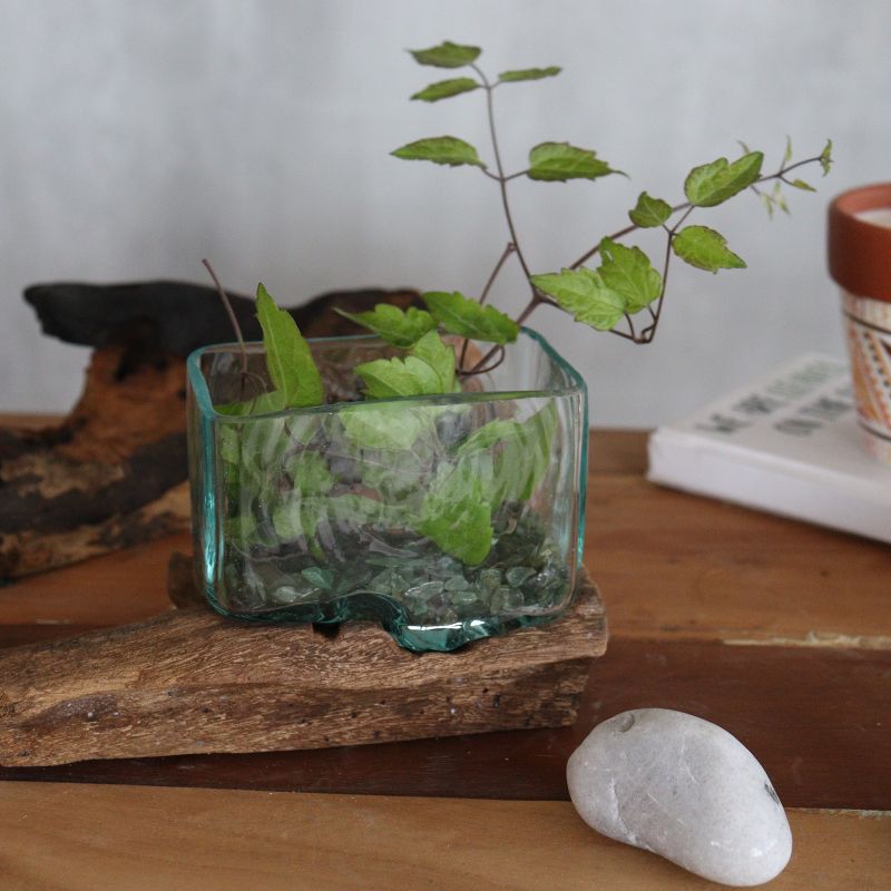 Verre sur Bois avec Support - Grand Bol