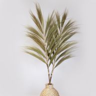 Rayung Herbe Naturelle - 1.6m