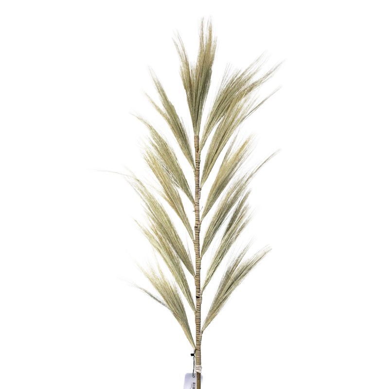 Rayung Herbe Blonde - 1.6m