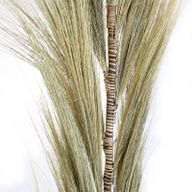 Rayung Herbe Blonde - 1.6m