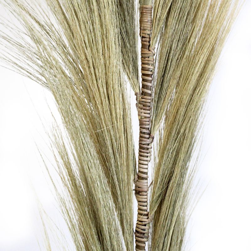 Rayung Herbe Blonde - 1.6m