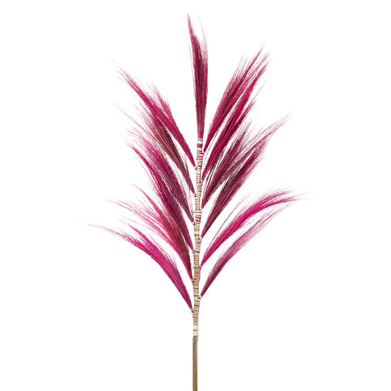 Rayung Herbe Rose - 1.6m