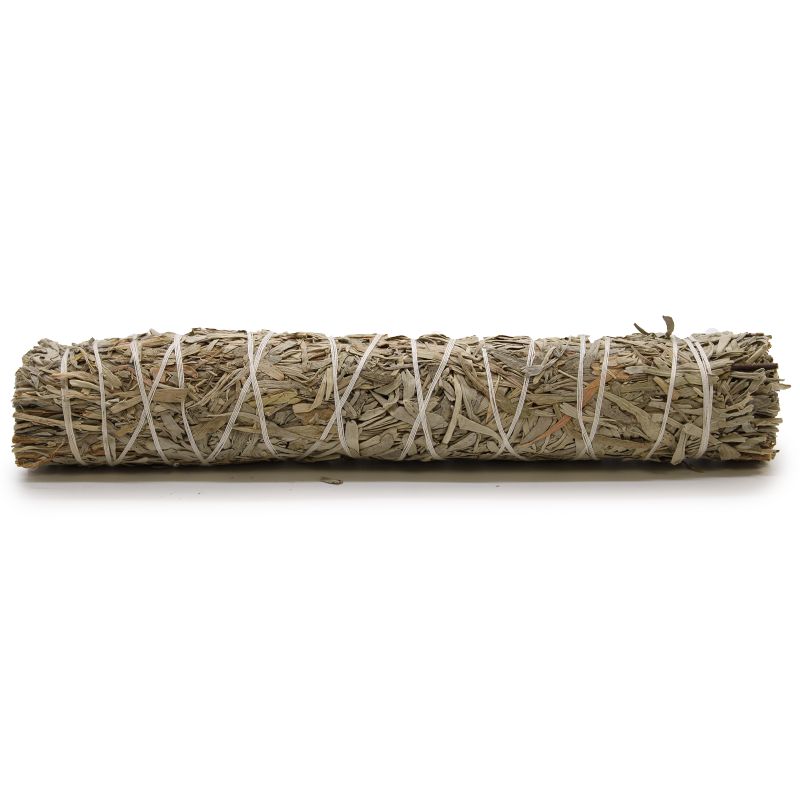 Bâton de maculage - Sauge bleue 22,5 cm