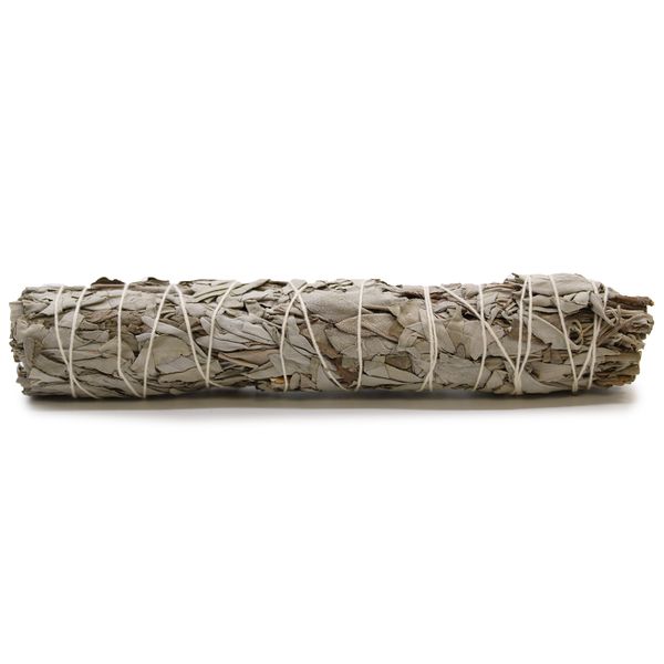 Bâton de maculage - Sauge Blanche 22,5 cm