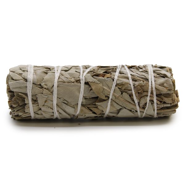 Bâton de maculage- Sauge Blanche 10cm