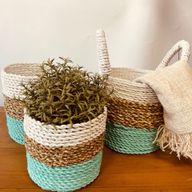 Ensemble de Paniers en Jonc de Mer - Vert / Naturel / Blanc