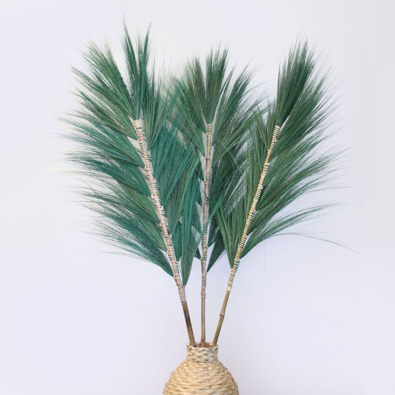 Rayung Herbe Verte - 1.6m