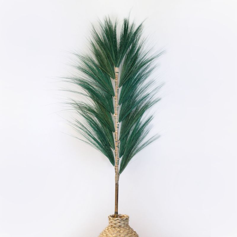 Rayung Herbe Verte - 1.6m