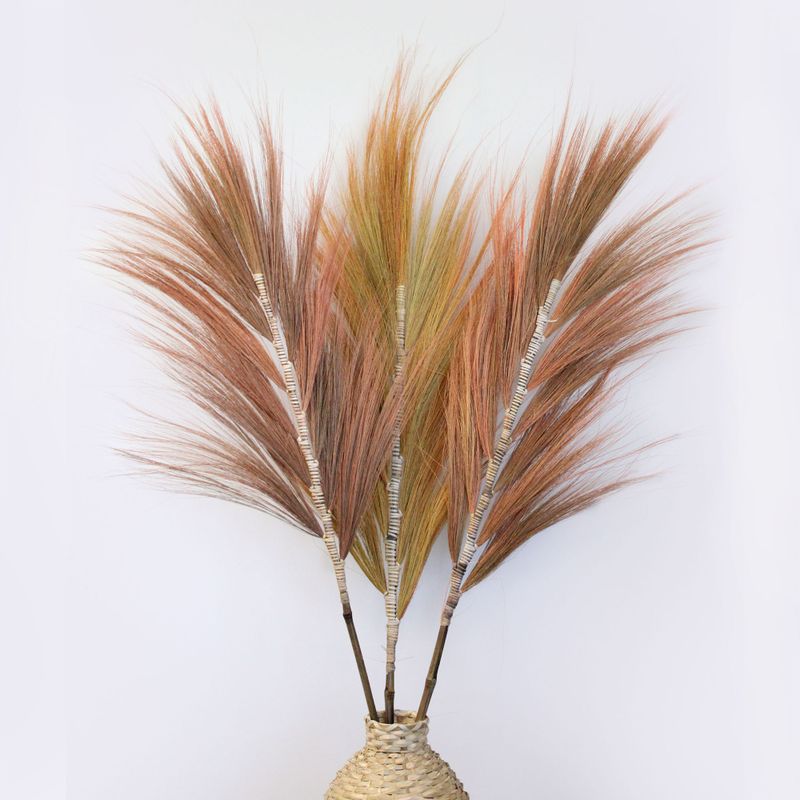 Rayung Herbe Corail- 1.6m