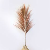 Rayung Herbe Corail- 1.6m