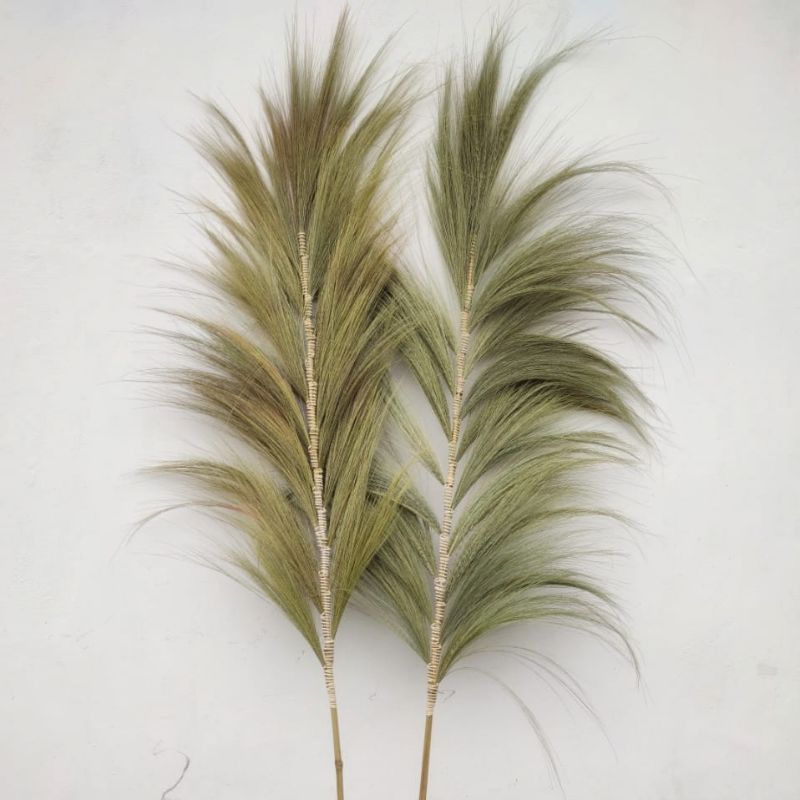 Rayung Herbe Naturelle - 2m
