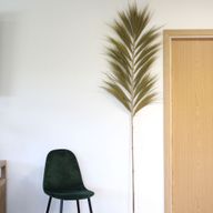 Rayung Herbe Naturelle - 2m