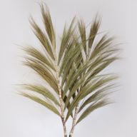 Rayung Herbe Naturelle - 2m