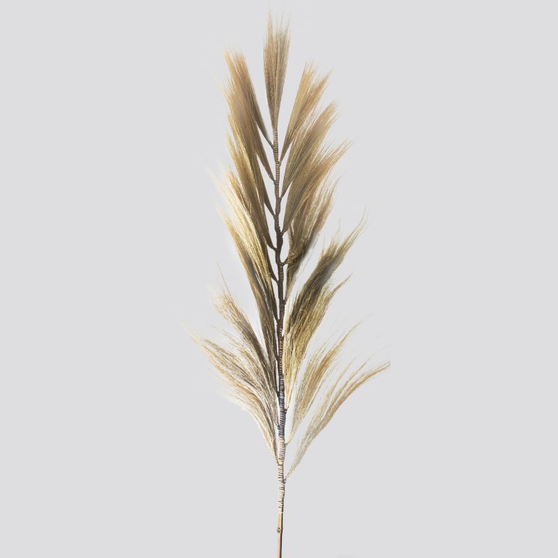 Rayung Herbe Blonde - 2m
