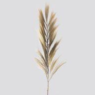 Rayung Herbe Blonde - 2m