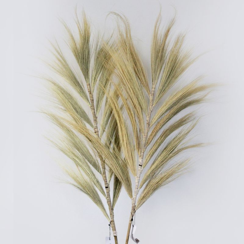 Rayung Herbe Blonde - 2m