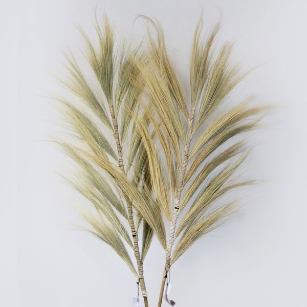 Rayung Herbe Blonde - 2m