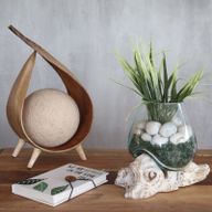 Verre sur Bois Blanchi - Petit Bol