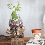 Verre sur Bois avec Support - Bol Moyen