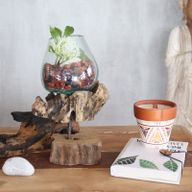 Verre sur Bois avec Support - Grand Bol