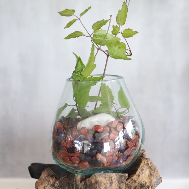 Verre sur Bois avec Support - Grand Bol