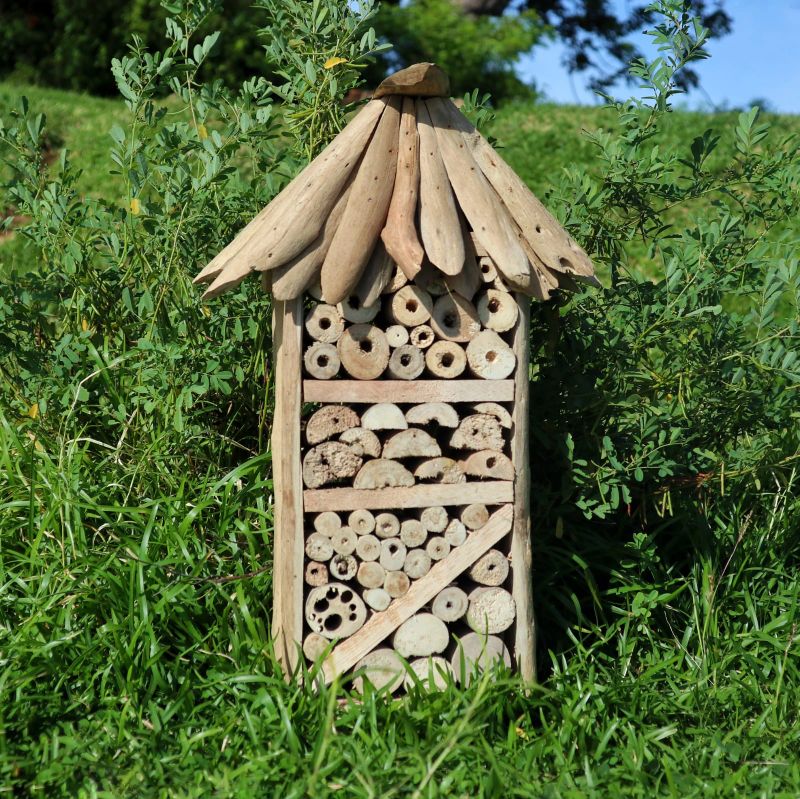 Boîte en hauteur pour abeilles et insectes en bois flotté