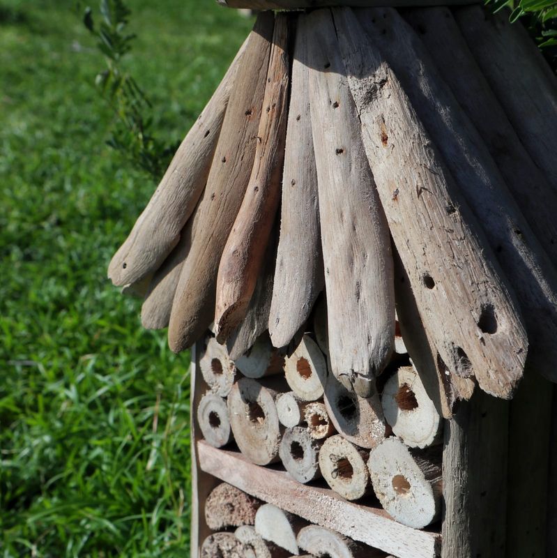 Boîte en hauteur pour abeilles et insectes en bois flotté