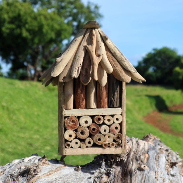 Boîte double abeilles et insectes en bois flotté
