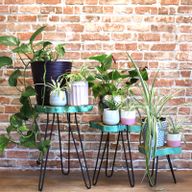 Ensemble de 3 supports pour plantes en bois - Vert Délavé