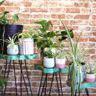 Ensemble de 3 supports pour plantes en bois - Vert Délavé
