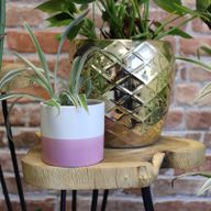 Ensemble de 3 Supports pour Plantes en Bois Gamell - Naturel