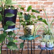 Ensemble de 3 Supports pour Plantes en Bois Gamell - Naturel