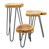 Ensemble de 3 Supports pour Plantes en Bois Gamell - Naturel