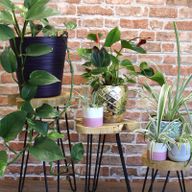 Ensemble de 3 Supports pour Plantes en Bois Gamell - Naturel