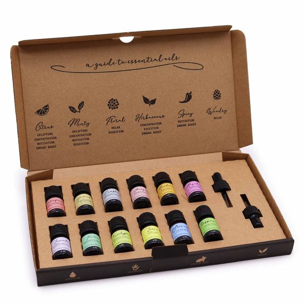 Ensemble d'huiles essentielles d'aromathérapie - Pack de démarrage
