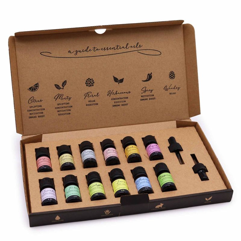 Ensemble d'huiles essentielles d'aromathérapie - Pack de démarrage