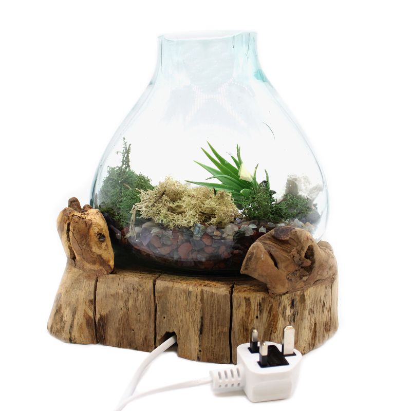 Molten Glass grand aquarium pour poissons 3,7 litres (avec cavité lumineuse) - 30 cm (prise du Royaume-Uni)