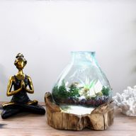 Molten Glass grand aquarium pour poissons 3,7 litres (avec cavité lumineuse) - 30 cm (prise du Royaume-Uni)