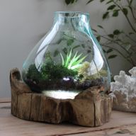 Molten Glass grand aquarium pour poissons 3,7 litres (avec cavité lumineuse) - 30 cm (prise du Royaume-Uni)