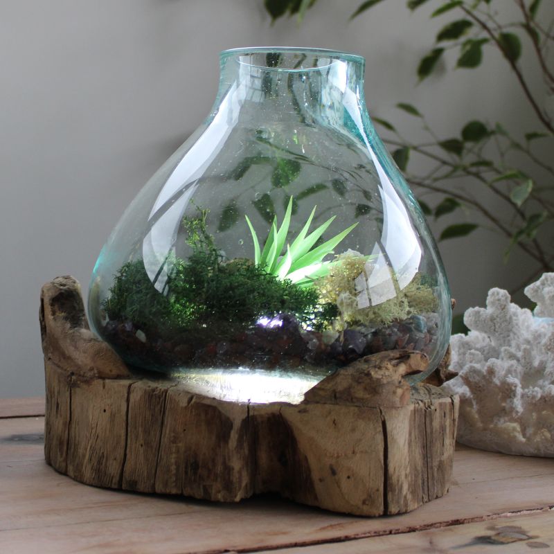 Molten Glass grand aquarium pour poissons 3,7 litres (avec cavité lumineuse) - 30 cm (prise du Royaume-Uni)