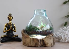 Molten Glass grand aquarium pour poissons 3,7 litres (avec cavité lumineuse) - 30 cm (prise du Royaume-Uni)