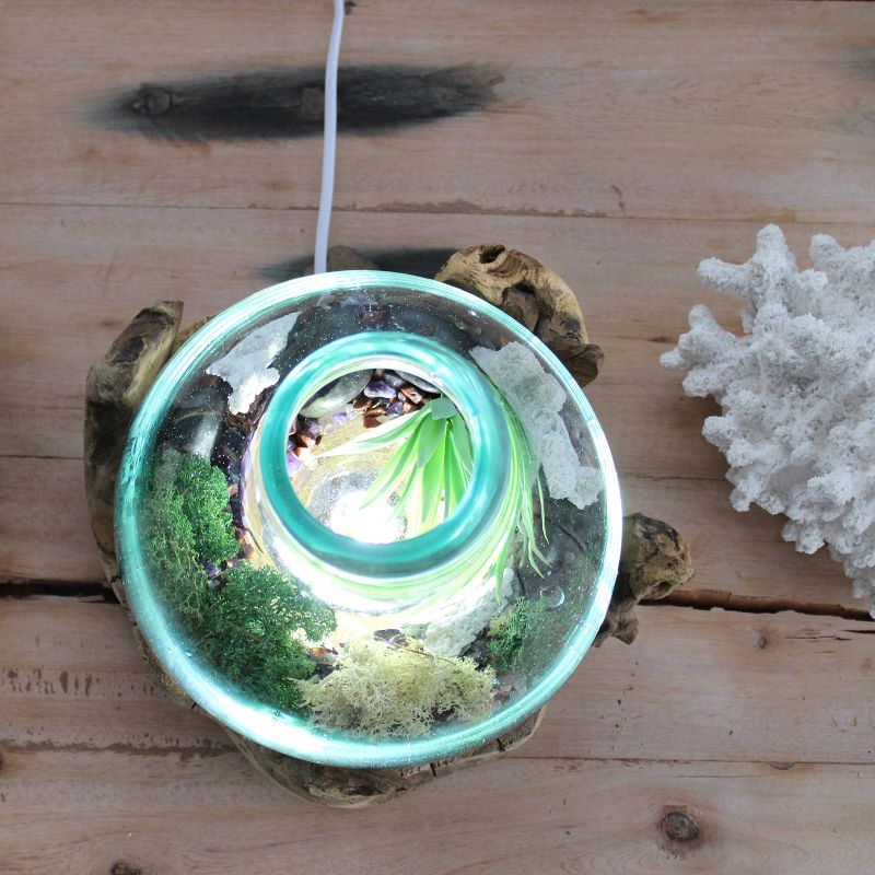 Molten Glass grand aquarium pour poissons 3,7 litres (avec cavité lumineuse) - 30 cm (prise du Royaume-Uni)