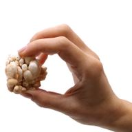 Spécimens Minéraux - Fleur de Calcite (environ 20 pièces)