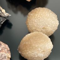 Spécimens minéraux - Pièces mélangées (environ 24 pièces)