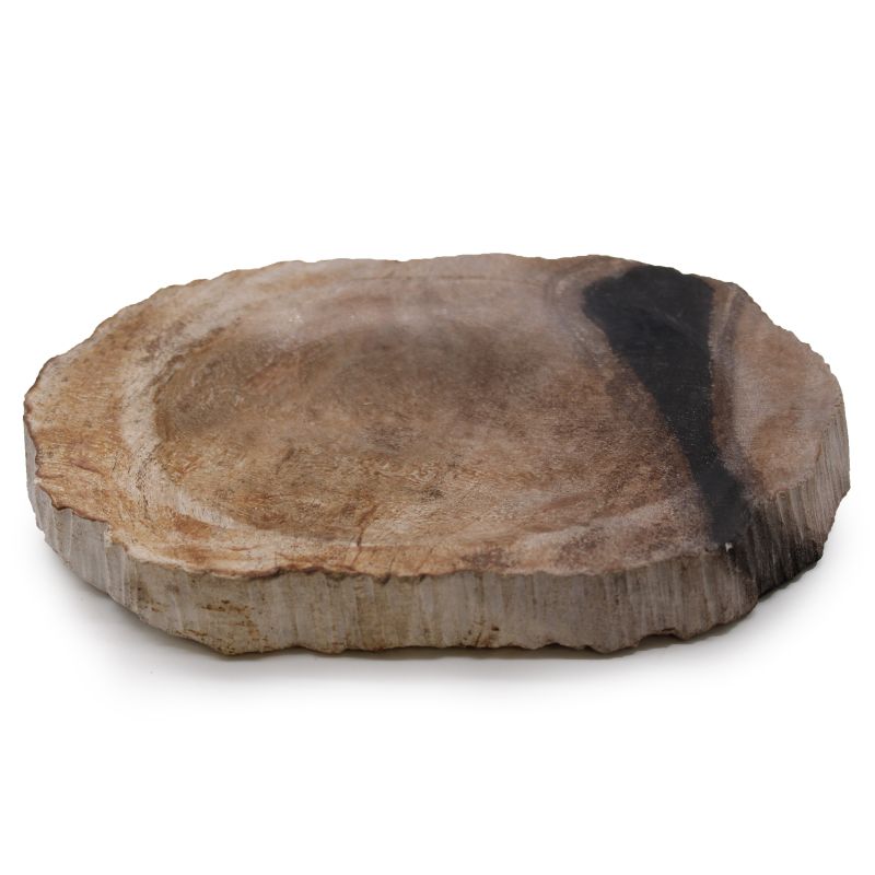 Porte-savon Noir en Bois Pétrifié