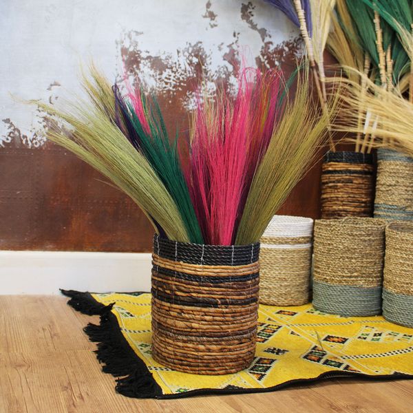 Pack de 4 - Balais longs Feuilles de Pampa - Couleurs vives