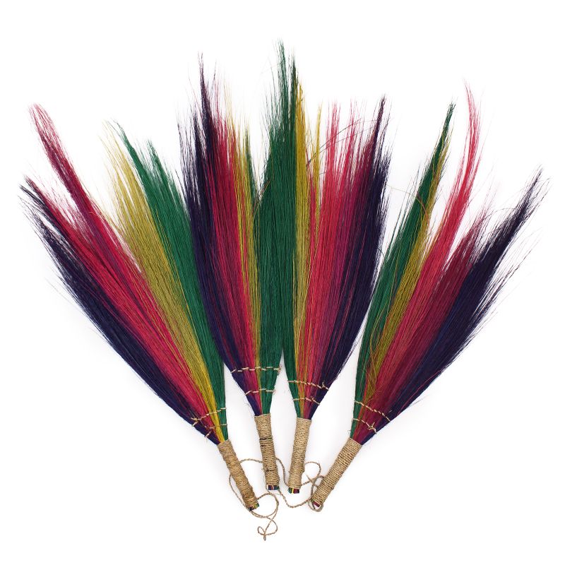Pack de 4 - Balais Feuilles de Pampa - Arc en Ciel