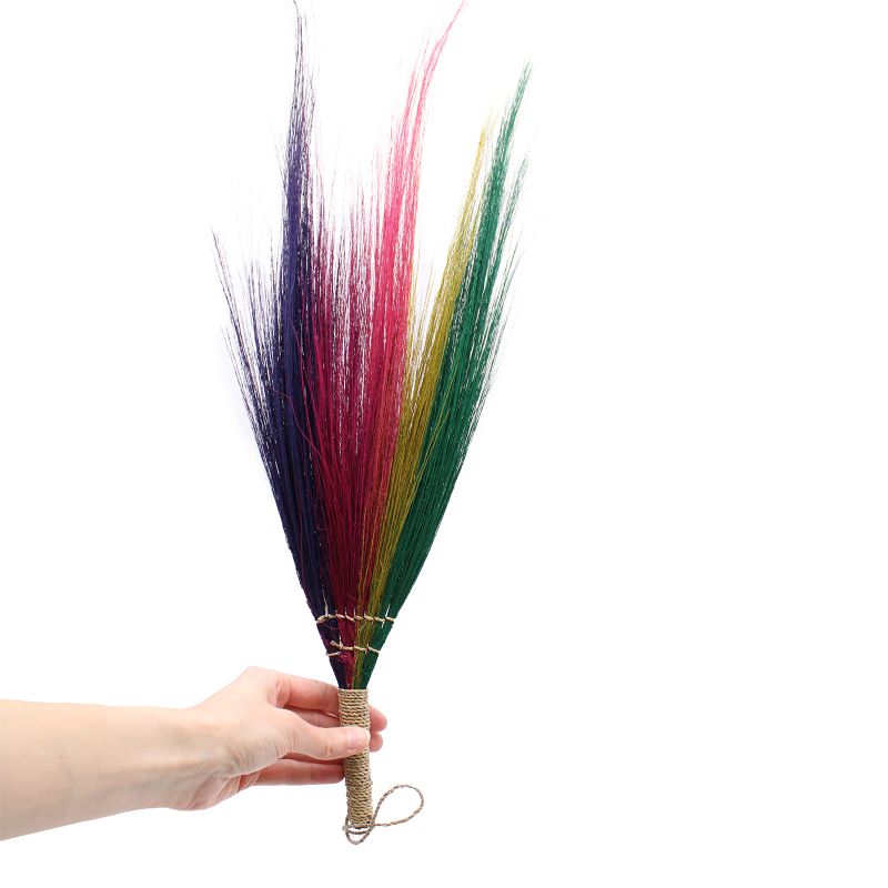 Pack de 4 - Balais Feuilles de Pampa - Arc en Ciel