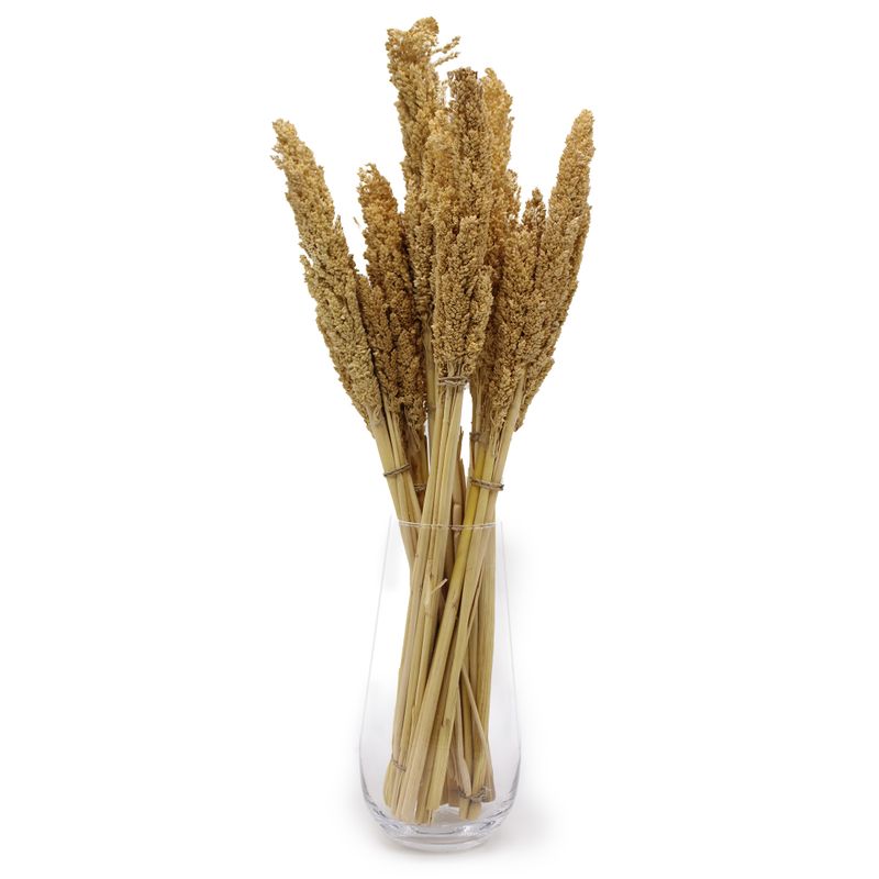 Bouquet d'Herbes Séchées Naturelles